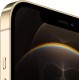 Смартфон Apple iPhone 12 Pro Max 256Gb Gold
