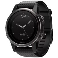 Умные часы Garmin Fenix 5S Sapphire 42mm (010-01685-11)