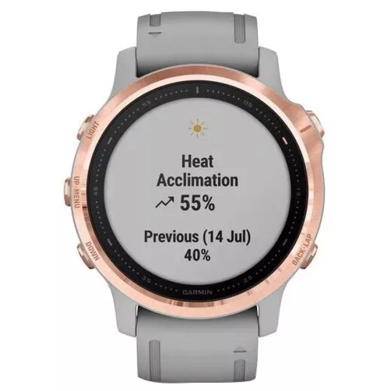 Умные часы Garmin Fenix 6S Sapphire 42mm (010-02159-21)