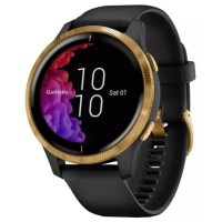 Умные часы Garmin Venu Gold/Black