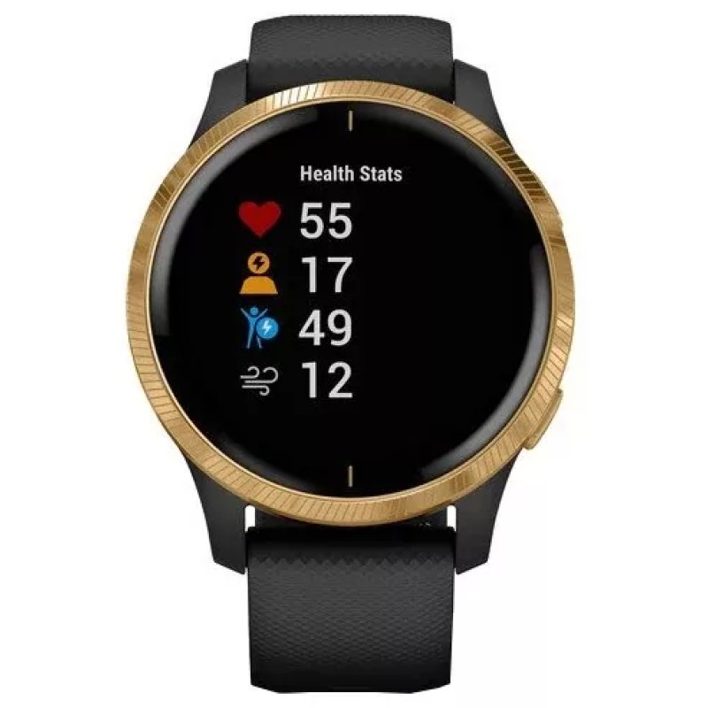 Умные часы Garmin Venu Gold/Black