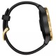 Умные часы Garmin Venu Gold/Black