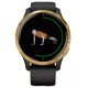 Умные часы Garmin Venu Gold/Black