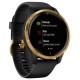 Умные часы Garmin Venu Gold/Black