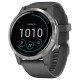 Умные часы Garmin Vivoactive 4 (серый/серебристый)