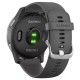Умные часы Garmin Vivoactive 4 (серый/серебристый)
