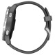 Умные часы Garmin Vivoactive 4 (серый/серебристый)