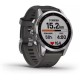 Умные часы Garmin Fenix 7S 42 мм (серебристый/графитовый)