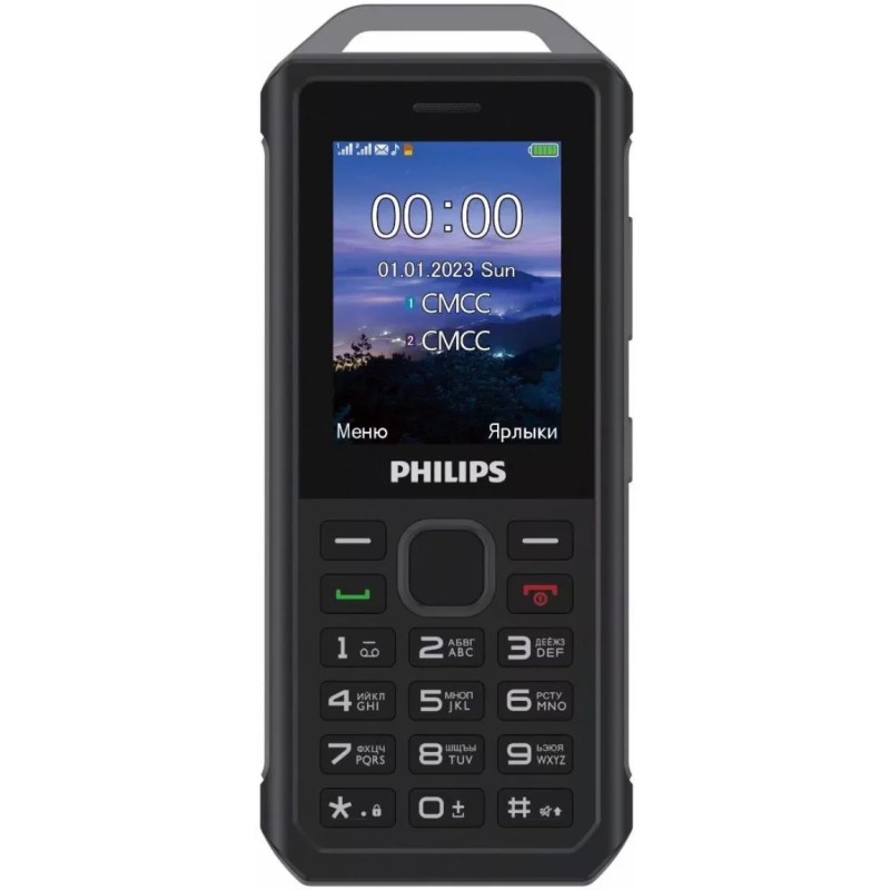 Мобильный телефон Philips Xenium E2317 (темно-серый)