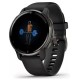 Умные часы Garmin Venu 2 Plus (черный)