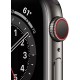 Умные часы Apple Watch Series 6 LTE 40mm Stainless Steel Graphite (M06X3)