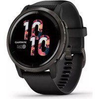 Умные часы Garmin Venu 2 (сланцевая нержавеющая сталь/черный)