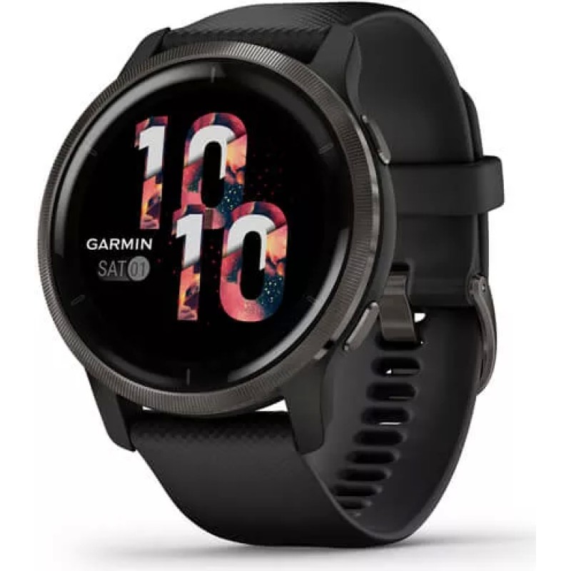 Умные часы Garmin Venu 2 (сланцевая нержавеющая сталь/черный)