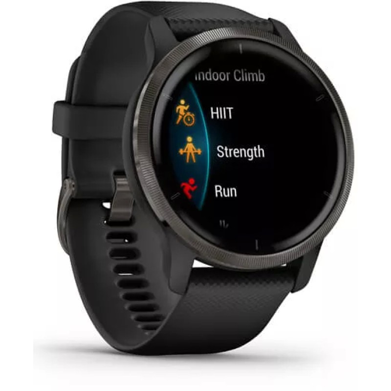 Умные часы Garmin Venu 2 (сланцевая нержавеющая сталь/черный)