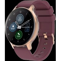 Умные часы Canyon Badian CNS-SW68RR (золотистый/бордовый)