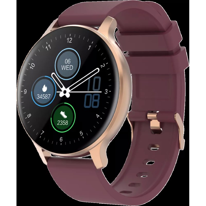 Умные часы Canyon Badian CNS-SW68RR (золотистый/бордовый)