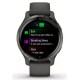 Умные часы Garmin Venu 2S (сланцевая нержавеющая сталь/черный)